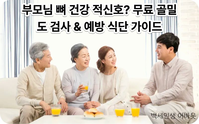 골다공증 예방 가이드를 따라 건강하게 산책하는 부모님과 자녀의 모습